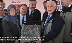 Bursa’da milyonluk çilek fidesi skandalı: Sahte belgeyle hastalıklı fide dağıtıldı