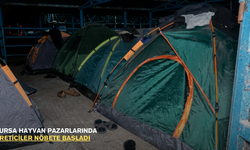 Bursa hayvan pazarlarında üreticiler nöbete başladı