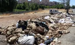 BUSKİ’den Bayram Öncesi Alarm Veren Uyarı: “Kurban Atıklarını Gelişi Güzel Atmayın!”
