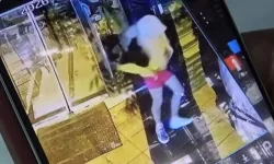 Bursa’da hırsızlıkta yeni dönem: Peruk ve kadın kıyafetleriyle dükkan soydu!