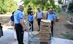 Bursa’dan Antalya’ya usulsüz civciv sevkiyatı
