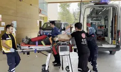 Direksiyon başında kalp krizi geçiren sürücü kurtarılamadı