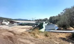 Bursa Osmangazi’de kaçak yapıya geçit yok! Zeytinlikteki depo yıkıldı