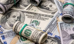 Dolar kaç TL oldu? 1 Eylül  2026 Salı güncel döviz kurları...