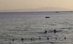 Küçükkumla sahilinde yunuslar şölen yaşattı