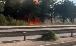 Bursa'nın iki farklı yerinden yangın alarmı