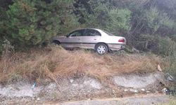 Otomobil ağaca çarptı, 2'si çocuk 4 kişi yaralandı