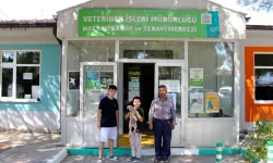 Nilüfer Belediyesi'nden Dünya Köpek Günü'nde anlamlı sahiplendirme çağrısı