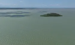 Ramsar korumasındaki Uluabat Gölü’nde ekosistem alarm verdi
