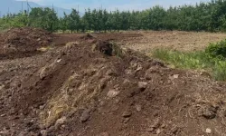 Bursa'da 100 Dönümlük Bahçede Kimyasal Kullanılmıyor
