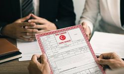Bursa'da tarım arazileri icradan satışa çıktı