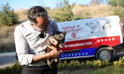 "Sahiplen Kestel" Platformu Hizmette Geçti