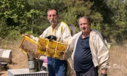 Uludağ eteklerinde yarım asırlık emek