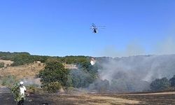 İznik'te orman yangını! Alevlere havadan ve karadan müdahale ediliyor