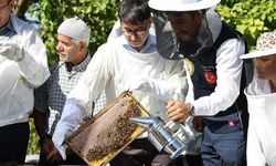Bursa’da bal hasadı heyecanı başladı