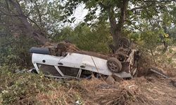 Bursa'da tarım işçilerini taşıyan araç ağaca çarptı