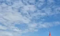 Bursa’da leyleklerin göç yolculuğu başladı