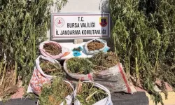 Bursa'da evlerinde tonla uyuşturucu yakalandı