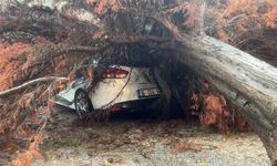 Bursa’da ağacın devrilmesiyle park halindeki araç zarar gördü