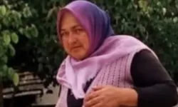 Bursa'da 3 gündür haber alınamayan kadın için arama seferberliği