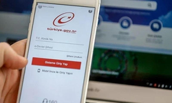 Sigorta ve hasar bilgileri artık tek ekranda