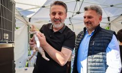 Bursa’da 3. Yuvalandırma Şenliği’nde 92 can dost sıcak yuvaya kavuştu