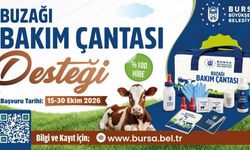 Bursa’da 1-10 büyükbaş hayvanı olanlara destek fırsatı