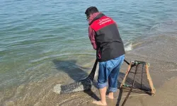 Bursa’da kaçak avcılık denetimi! 2 ton 760 kilo kum şırlanı denize bırakıldı
