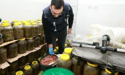 Depoya baskın gibi denetim! Bursa’da 6,5 ton küflü gıda imha edildi