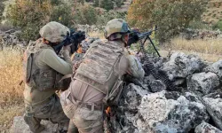 Hatay’da organize suç örgütü çökertildi