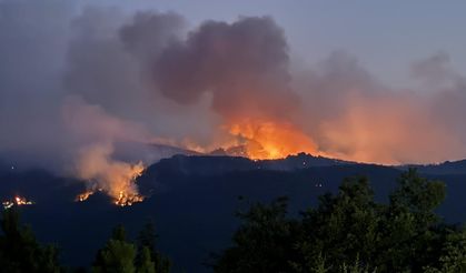 Yangınlarla ilgili 3 kişi tutuklandı