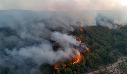 Orman yangınlarıyla ilgili 39 şüpheli tutuklandı