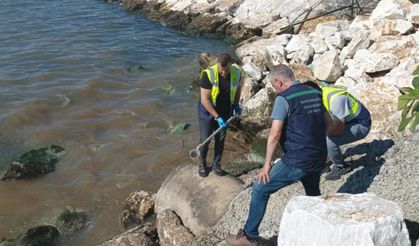 Yalova Belediyesi'ne 1,3 milyon lira çevre cezası