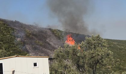 Bursa'da çıkan orman yangınına havadan ve karadan müdahale ediliyor