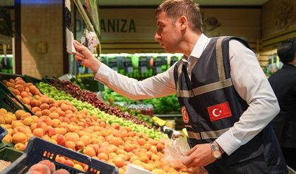 331 bin firma ve 20 milyon ürüne denetim