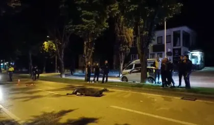 Kaderin Acı Cilvesi: İki Kardeş, İki Motosiklet, Aynı Son!