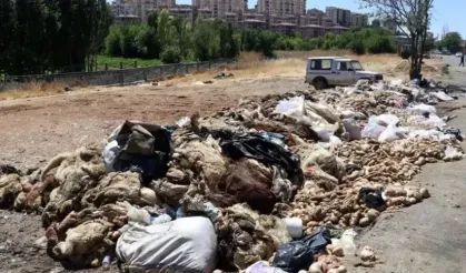 BUSKİ’den Bayram Öncesi Alarm Veren Uyarı: “Kurban Atıklarını Gelişi Güzel Atmayın!”