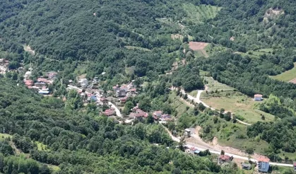 Türkiye'nin en uzun kırsal mahallesi Bursa'da ortaya çıktı: Görenler inanamıyor!