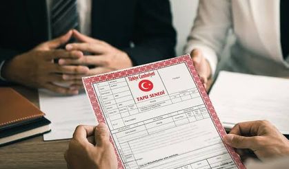 Bursa'da tarım arazileri icradan satışa çıktı