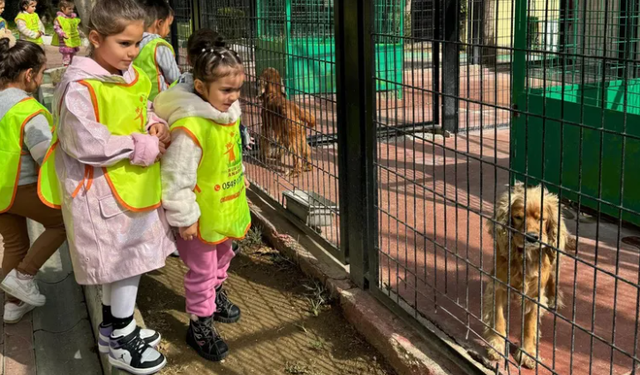 Osmangazi Belediyesi sahipsiz hayvanlar merkezi, küçük hayvanseverlerden büyük ilgi görüyor