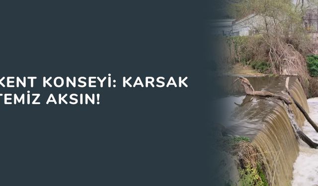 Gemlik Kent Konseyi: Karsak Deresi temiz aksın!