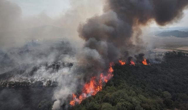 Çanakkale'de alevlerle mücadele devam ediyor
