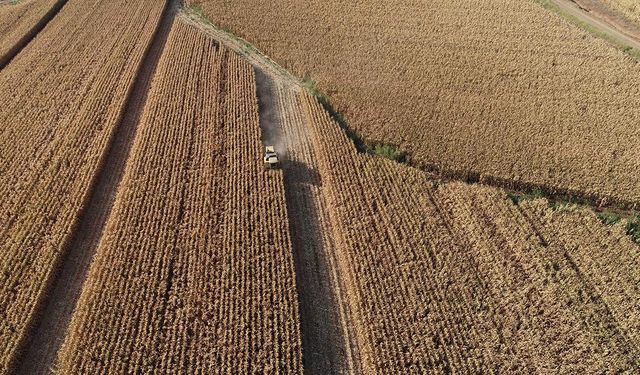 Tarım ve hayvancılıkta öncelikli yatırımlar için yol haritası çizildi