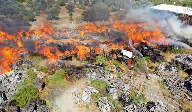 Manisa'da palet fabrikasında yangın