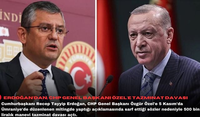 Erdoğan'dan, CHP Genel Başkanı Özel'e tazminat davası