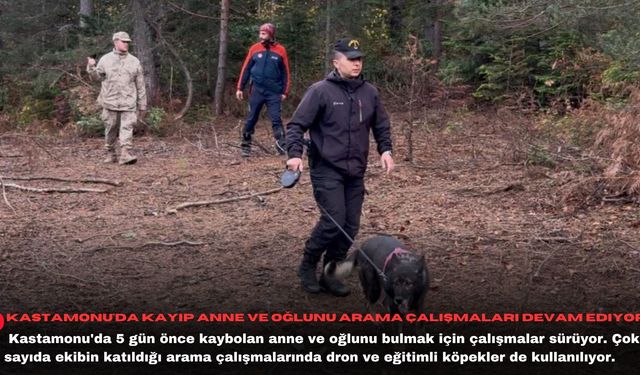 Kastamonu'da kayıp anne ve oğlunu arama çalışmaları devam ediyor