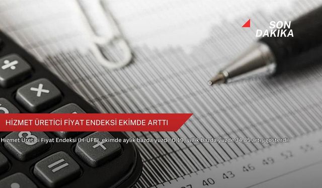 Hizmet Üretici Fiyat Endeksi ekimde arttı