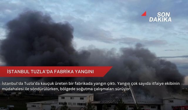 İstanbul Tuzla'da fabrika yangını
