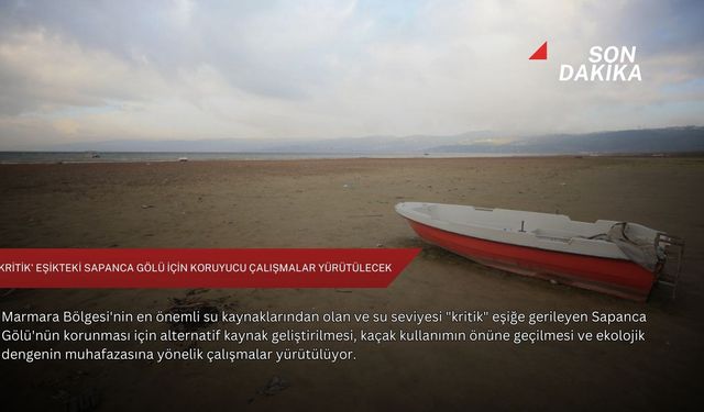 'Kritik' eşikteki Sapanca Gölü için koruyucu çalışmalar yürütülecek