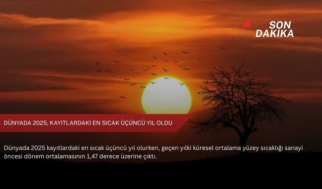 Dünyada 2025, kayıtlardaki en sıcak üçüncü yıl oldu